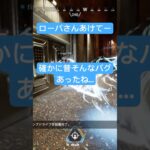 #Apex ローバさん開けてー