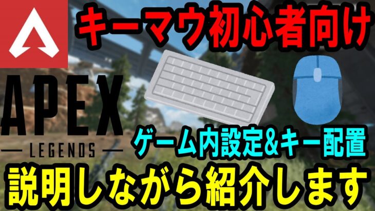 【Apex】キーマウ初心者に向けて、ゲーム内設定やキー配置を紹介します。※タイムスタンプあり