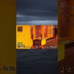 【爆速フラグ回収】Apex世界滑稽グランプリ優勝のレイスさんのプレイがレべチwwwwww#無名のおにぎり #ゲーム #深夜テンション #ゲーム配信 #apex #シーズン26#ランクラダー