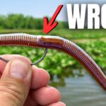 I HOPE You’re Not Making These SENKO Mistakes