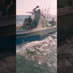 OCEARCH x COSTA x YETI have been protecting whats out there for 2 decades