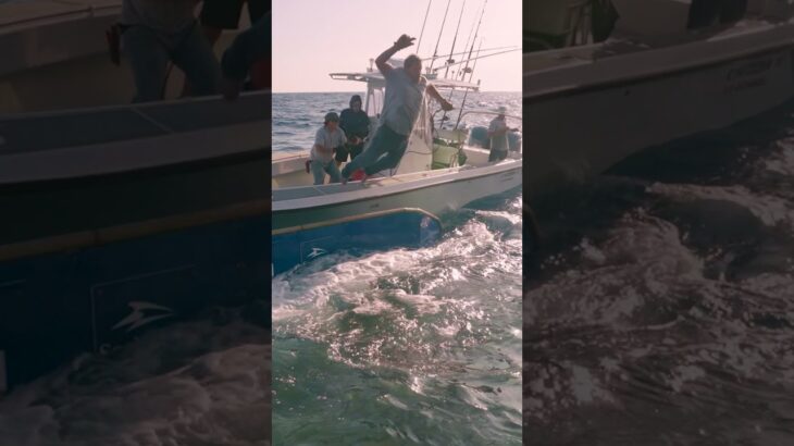 OCEARCH x COSTA x YETI have been protecting whats out there for 2 decades