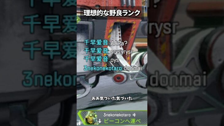 優しい世界な野良ランク #apex #shorts