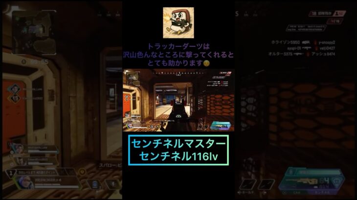 トラッカーダーツやっぱ強い　#apexlegends #センチネル #センチネルマスター #センチネル116lv #スナイパー #shorts #eurobeat #頭文字d #見える化