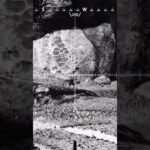 #エーペックス クレーバーキル集