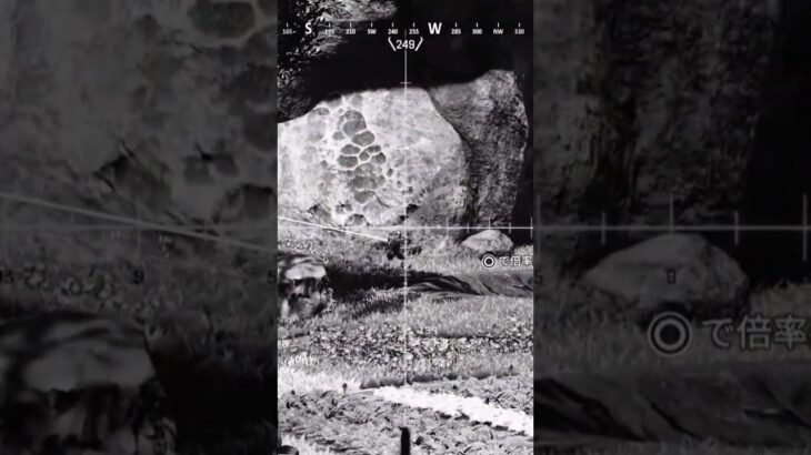 #エーペックス クレーバーキル集