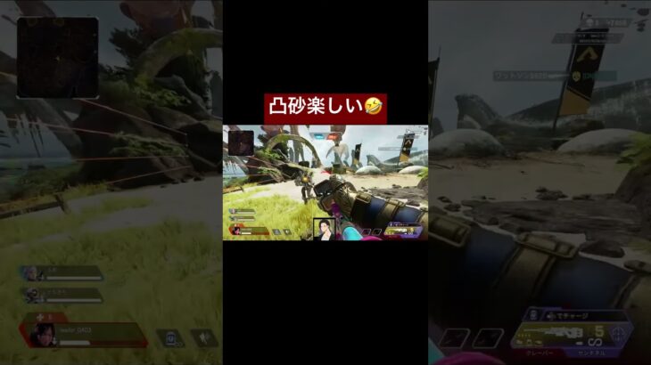 凸砂楽しい#APEX#shorts #凸砂#レイス