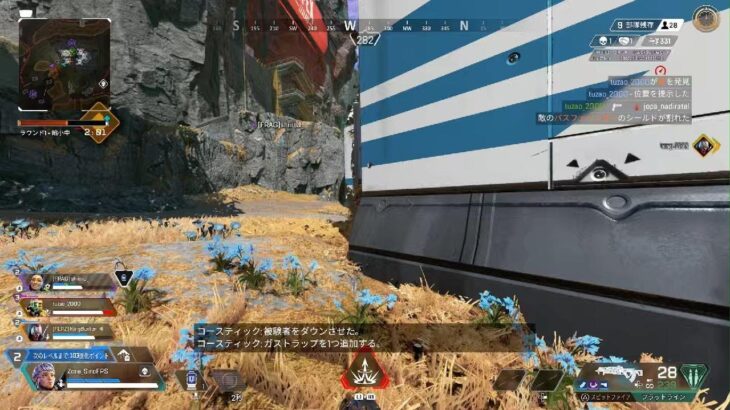 Apex Legends_神のヴァルキリー