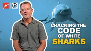 Cracking the Code of White Sharks
