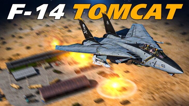 Needed Some Help From The HIMARS But Other Than That The F-14B Tomcat Had It Under Control | DCS |