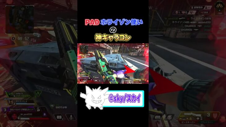 PADホライゾン使いのキャラコンがやばすぎる