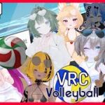 【フルトラ配信】夏だ！ビーチバレー！！【#Vtuber #vrchat 】