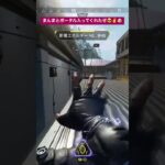 ある意味最強のポータル #apex #apexlegends #えぺ #apexlegend #レイス #ポータル