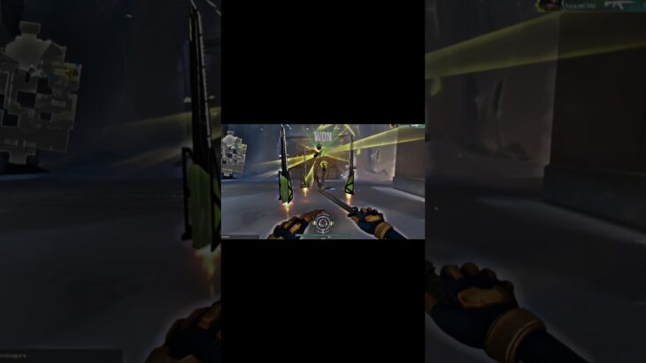 俺だけapexな件 #valorant  #ヴァロ #キル集