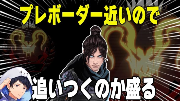 プレデターボーダーが近いのでソロで盛っていく【あれる】│エーペックスレジェンズ