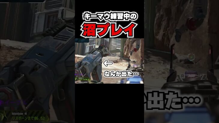 キーマウ練習中のキャラコン＆エイムが迷子【APEX】