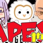 [APEX] アプデ後初APEXどうなってるの～？！【VMAFIA ノジクロ】