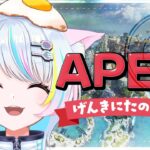 【APEX】ソロランかイベントあそぶか🎀🐈️作業用BGMにも🎀【ねこたぬき/JPvtuber/個人Vtuber】エペ