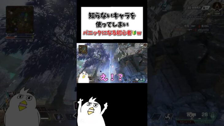 知らないキャラを選んでしまいパニックになるAPEX初心者w🔰 #初心者apex #配信切り抜き