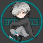 🧪🐍ヴァルキリーキル数DMG数PC日本1位🧪🐍　#apex  #short