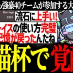 有猫杯にて覚醒レイスで大量キル＆ダメージチャンピオンを叩き出すボルズ【VOLzZ/叶望/YukaPEROdator/切り抜き】