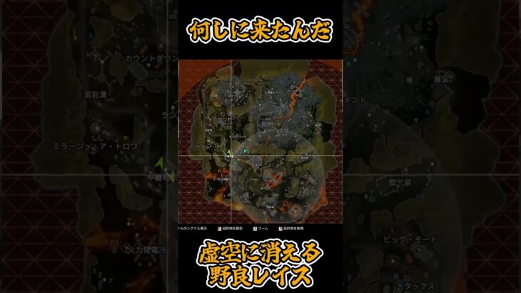 【何しに来たんだ】虚空に消える野良レイス #apex #apexlegends #エーペックス #害悪野良