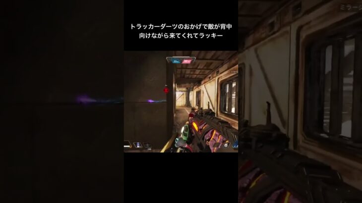 敵が背中向けながら来てくれた#apexlegends #youtubeshorts