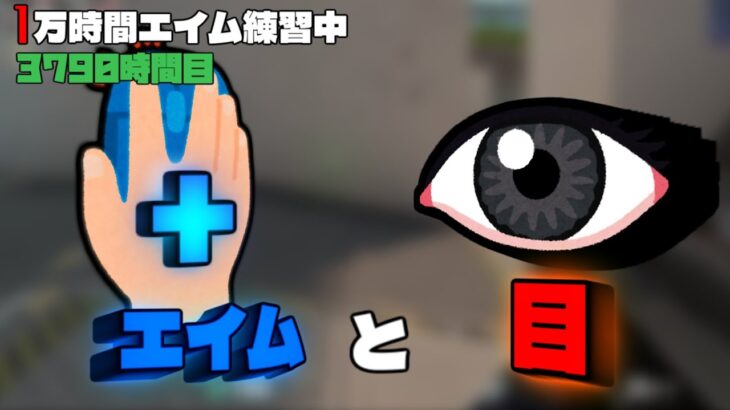 エイムする時に目はどう使うか？考察【1万時間エイム練習中】