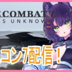 【ACE COMBAT 7】小松基地航空祭に行ったので！エスコンがやりたくなった！その2