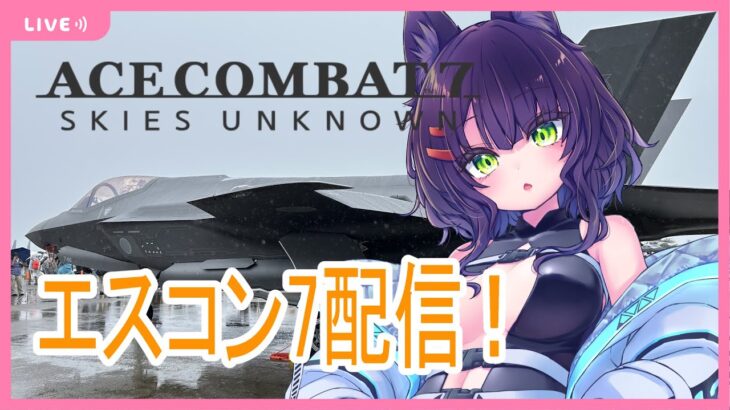 【ACE COMBAT 7】小松基地航空祭に行ったので！戦闘機に乗りたくなった！その3【エースコンバット7】
