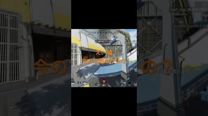 【APEX】スパロー楽しい🎶#スパロー #APEX #おもしろ #トラッカーダーツ #エペ