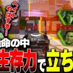 【APEX】驚異の5000ダメ！？ソロマスター道で無双するミラージュの王様【ミラージュ】