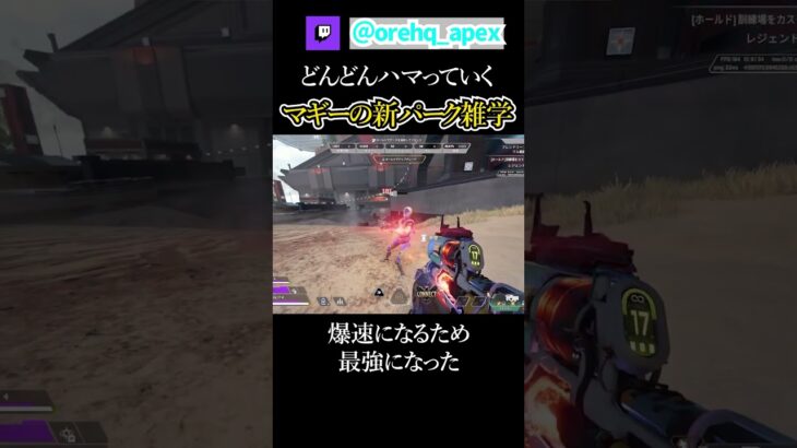 新パークによって期待されるSMGマッドマギー雑学【エーペックス】