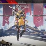 apex  ヴァルキリー5000ダメ