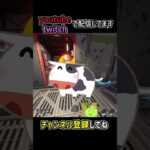 マッドマギーのマグマボールが強いので詳細と豆知識を解説 | apexlegends #apex #shorts