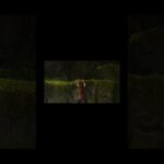 このゲーム終盤であるゲームのキャラと声優が一緒だと気づく俺！！君にはわかるかな？？俺はキャラ名間違えてるけどね#shrots