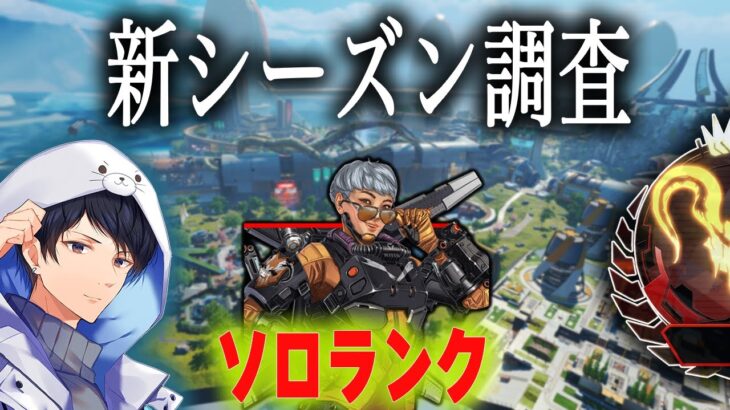 新シーズン何が強いのか環境調査ソロランク【あれる】│APEX