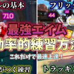 【絶対見ろ】無駄がない効率的なエイム練習方法【APEX LEGENDS】