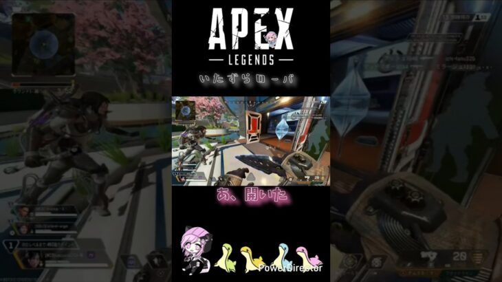 【APEX】いたずらローバ #apexlegends #apex #エーペックスレジェンズ #shorts