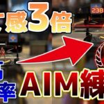 弾当たらない人必見！エイムよくなりたいなら絶対にやるべきエイム練習！【ApexLegends】