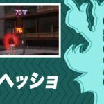 Sellyの冷静なウィングマン全弾ヘッショ【APEX/エーペックス】